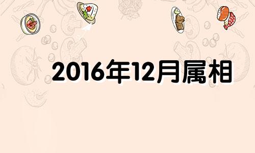 2016年12月属相 2016年属鼠人的运程