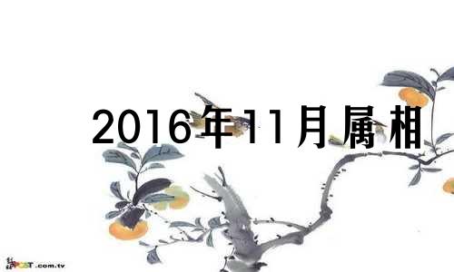 2016年11月属相 2016年11月属什么生肖的宝宝