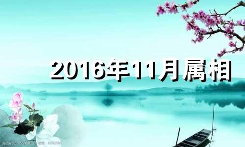 2016年11月属相 2016年11月11出生的运势