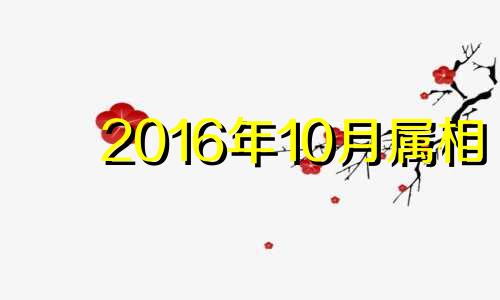 2016年10月属相 2016年10月出生的宝宝好不好