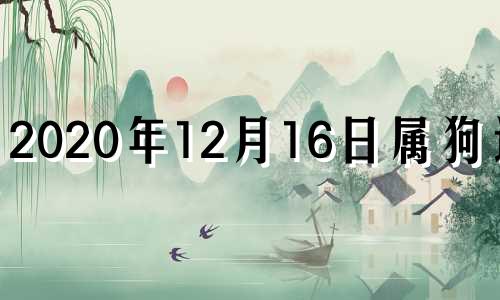 2020年12月16日属狗运势 