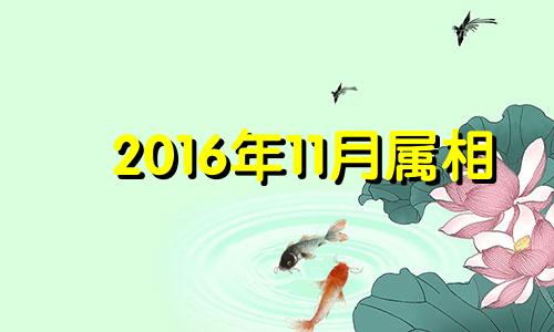 2016年11月属相 2016年十一月出生命运