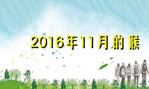 2016年11月的猴 2016年属猴农历11月出生命好