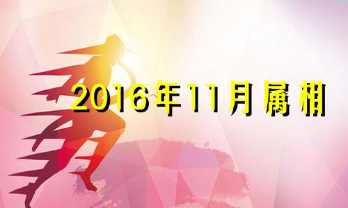 2016年11月属相 2016年11月属猴的是什么命运