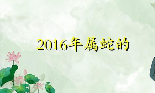 2016年属蛇的 2016年属蛇的运势