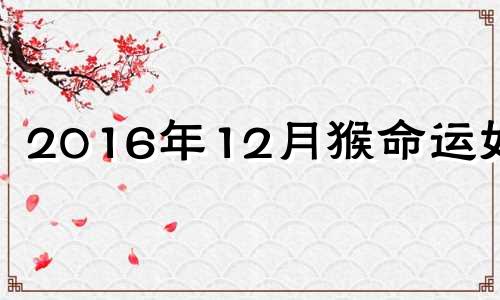 2016年12月猴命运如何 2016年12月是什么猴