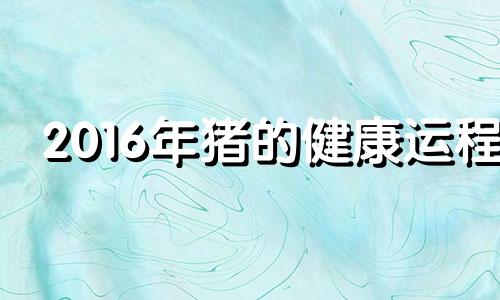 2016年猪的健康运程 属猪2016年运势及运程每月运程