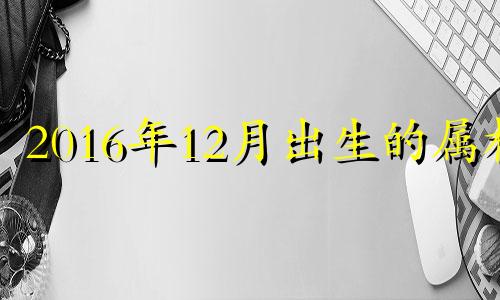 2016年12月出生的属相 2016年12月属什么生肖的宝宝