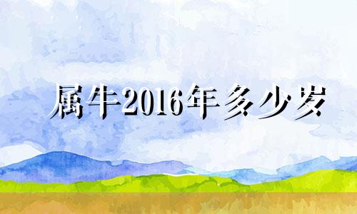 属牛2016年多少岁 2016年属牛的人多大