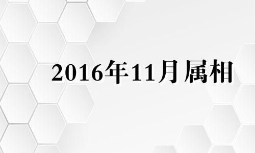 2016年11月属相 2016年11月属猴好不好