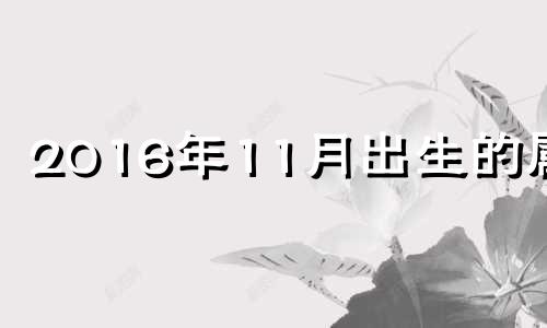 2016年11月出生的属相 2016年属猴11月出生是什么命