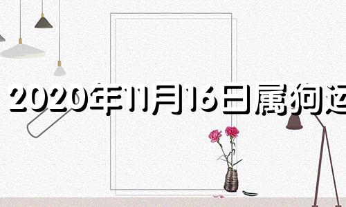 2020年11月16日属狗运势 2016年11月属猴的是什么命