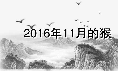 2016年11月的猴 2016年11月出生的猴宝宝