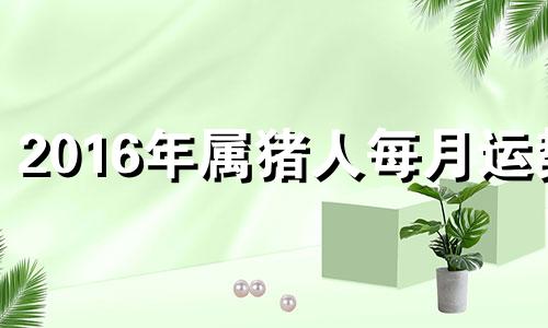 2016年属猪人每月运势 2016年12月属什么生肖什么命