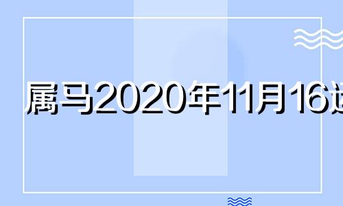 属马2020年11月16运势 2016年属马