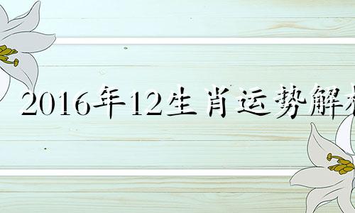 2016年12生肖运势解析 2016年12月属啥