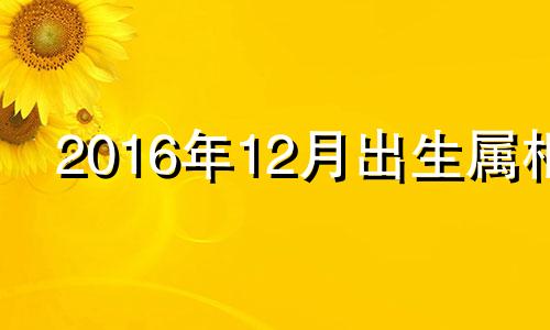 2016年12月出生属相 2016年12月属什么生肖什么命