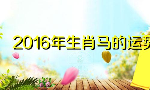 2016年生肖马的运势 属马人2016年