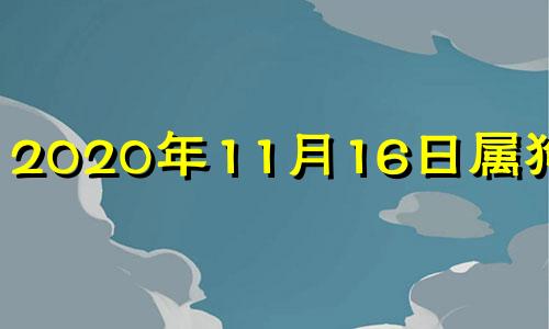 2020年11月16日属狗运势 2016年11月的猴的命运怎么样