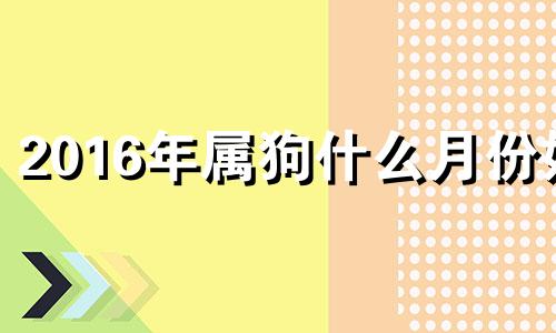 2016年属狗什么月份好 2020年12月16日属狗运势