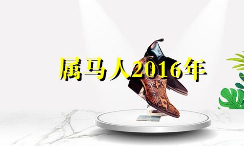 属马人2016年 2016年猴年马月出生孩子命运