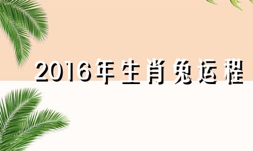 2016年生肖兔运程 2016年10月属什么生肖的宝宝