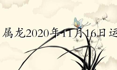 属龙2020年11月16日运势 2016年11月出生的属相