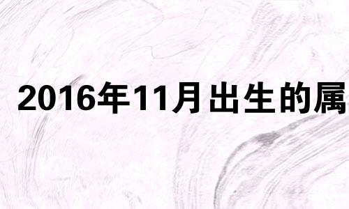 2016年11月出生的属相 2016年十一月出生命运