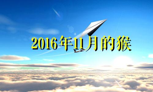 2016年11月的猴 2016年11月猴好不好