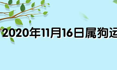 2020年11月16日属狗运势 2016年属狗什么月份好