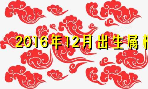 2016年12月出生属相 2016年12月属啥