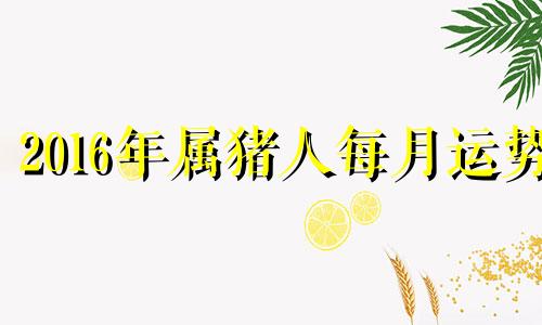 2016年属猪人每月运势 2016年12月出生的属相