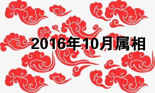 2016年10月属相 2016年10月出生什么命