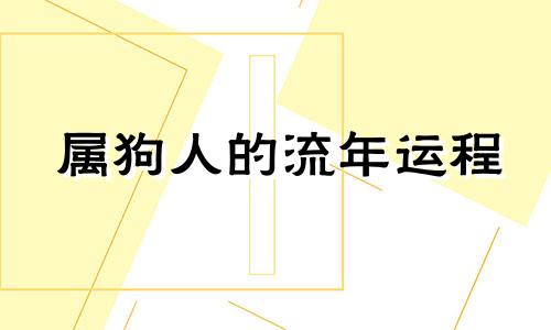 属狗人的流年运程 属狗流年运势及运程