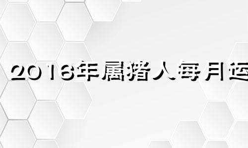 2016年属猪人每月运势 属猪的2016年多大年龄