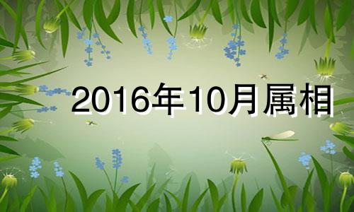 2016年10月属相 2016年属兔的怎么样