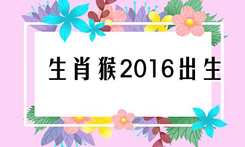 生肖猴2016出生 2016年猴性格