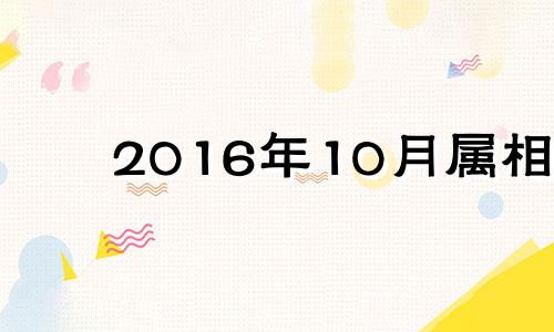 2016年10月属相 生肖龙2016年运势大全