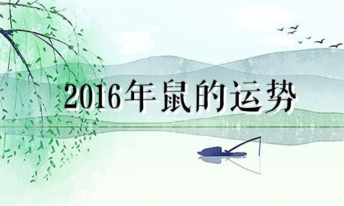 2016年鼠的运势 2016年出生的鼠宝宝是什么命