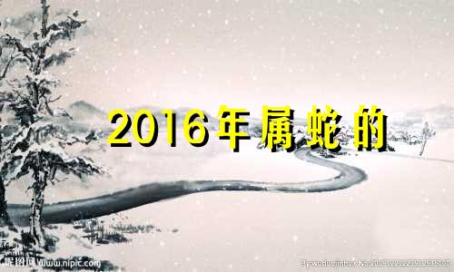 2016年属蛇的 属蛇2016年运势及运程每月运程