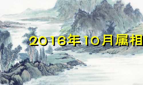 2016年10月属相 2016年属猪人的全年运势