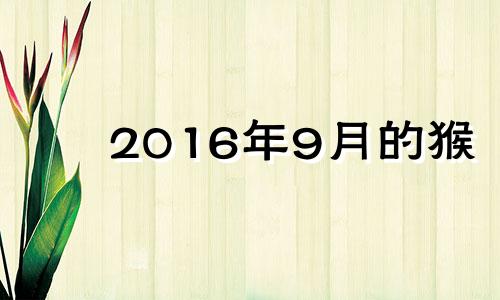 2016年9月的猴 天天酷跑血族灵猫和法老黑豹