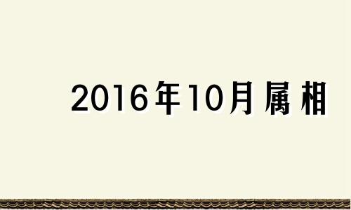 2016年10月属相 属蛇人2016年每月运势