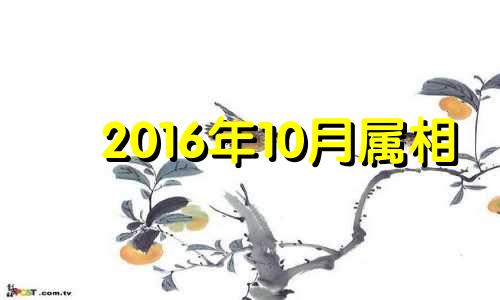 2016年10月属相 2016年属鸡人的全年运势