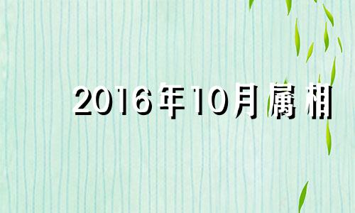 2016年10月属相 2016年属鼠的是什么命