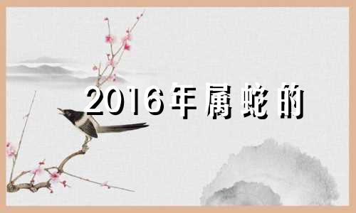 2016年属蛇的 2016年生肖蛇运势