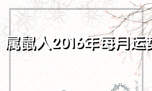 属鼠人2016年每月运势 生肖鼠2016年运势大全