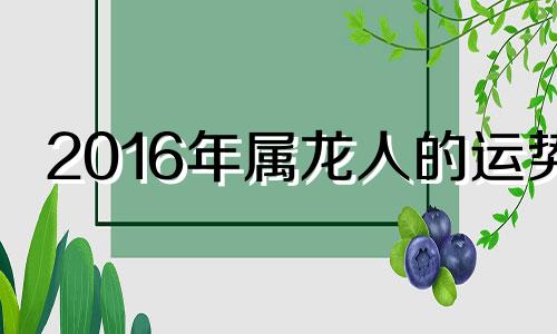 2016年属龙人的运势 2016年属龙的人是什么命?