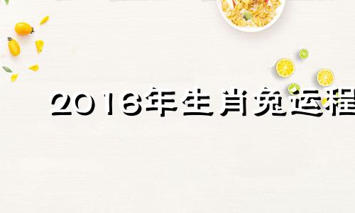 2016年生肖兔运程 2016年属兔的是什么命