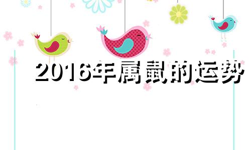 2016年属鼠的运势 2016年属鼠的是什么命